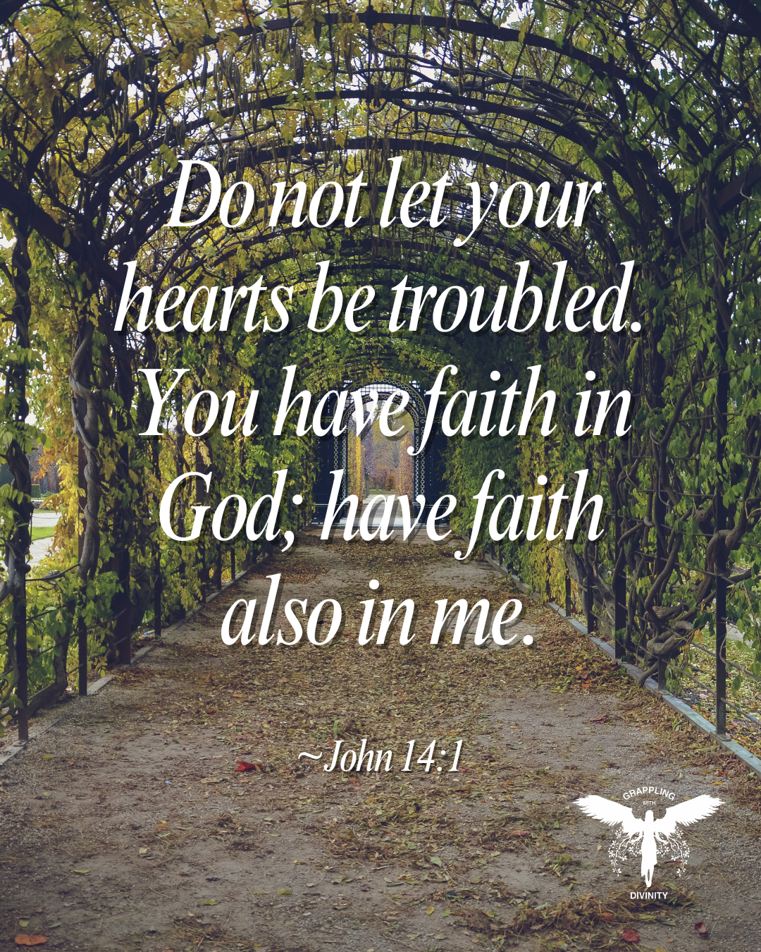 Lectio: Have Faith In Me