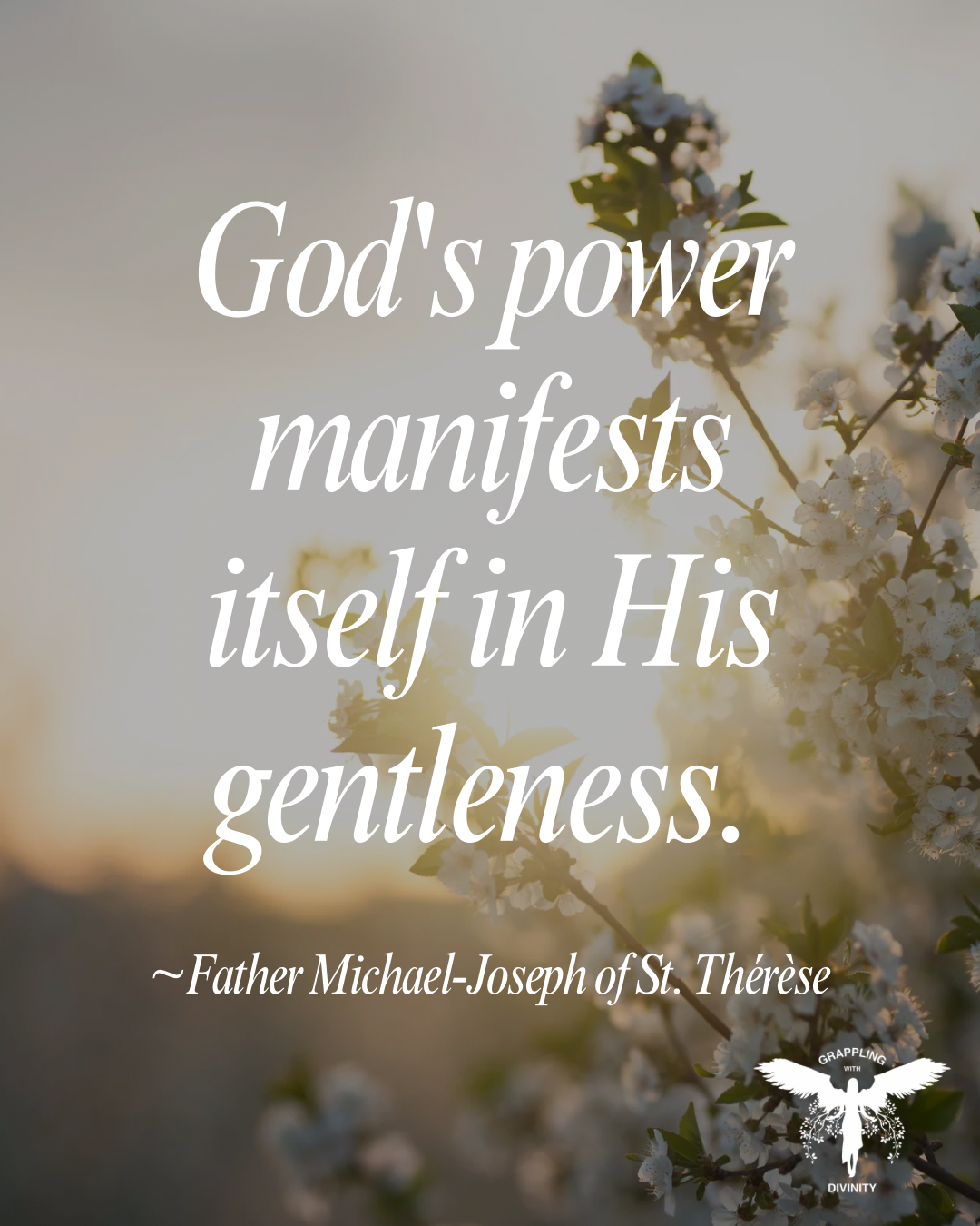 Lectio: Power In Gentleness