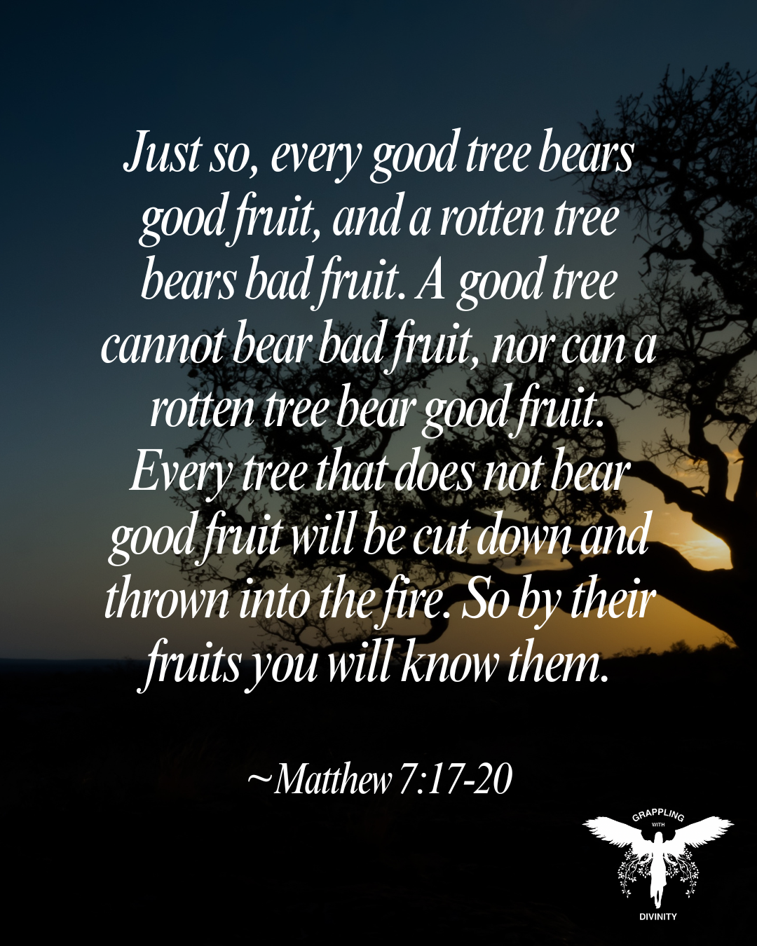 Lectio: By Their Fruits
