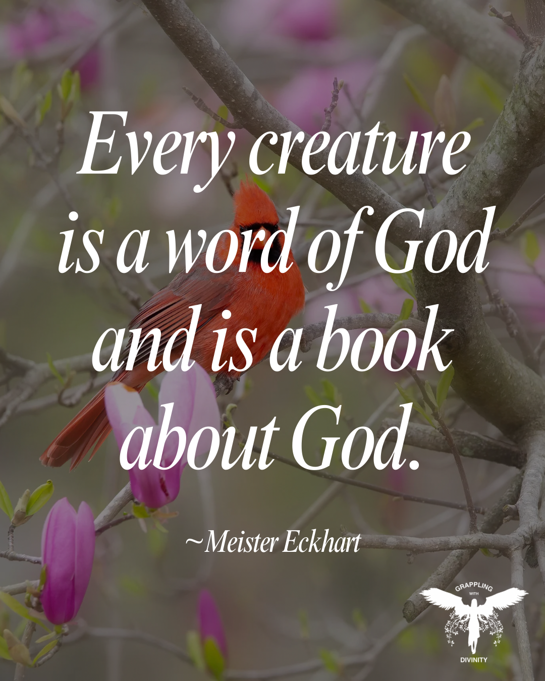 Lectio: A Book About God