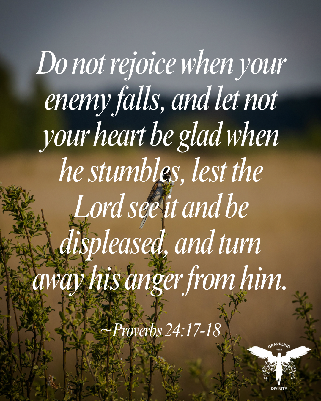 Lectio: When Your Enemy Falls