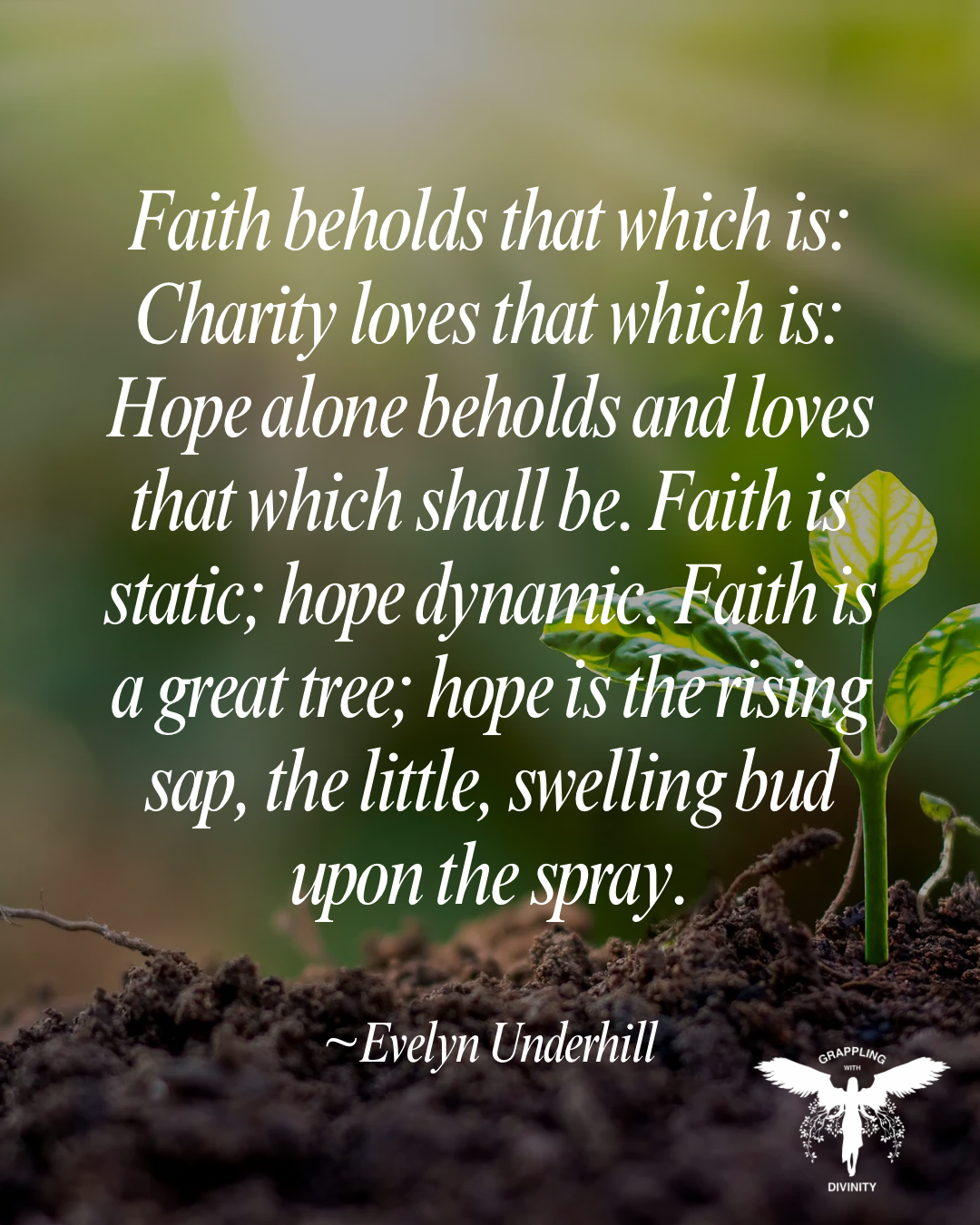 Lectio: The Rising Sap