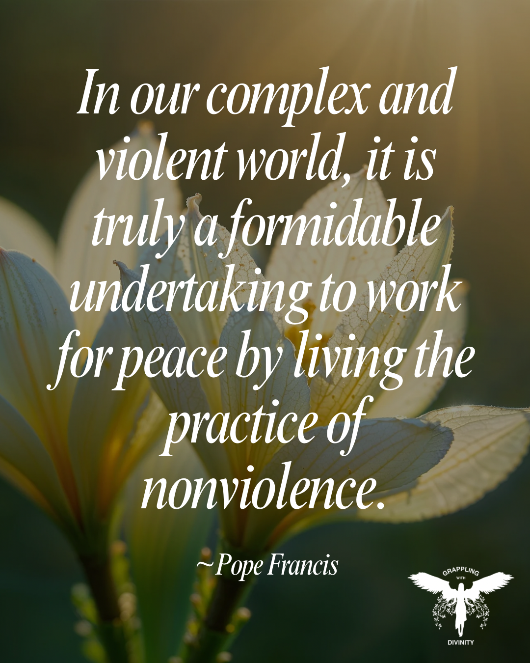 Lectio Divina: Living Nonviolence