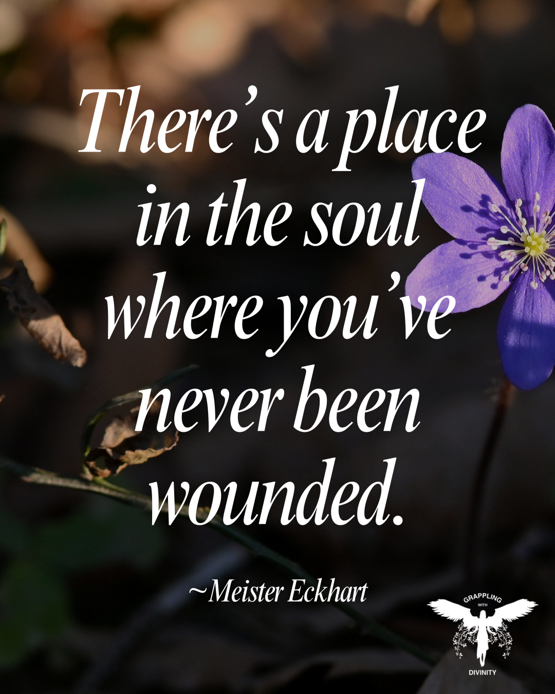 Lectio Divina: Unwounded Soul