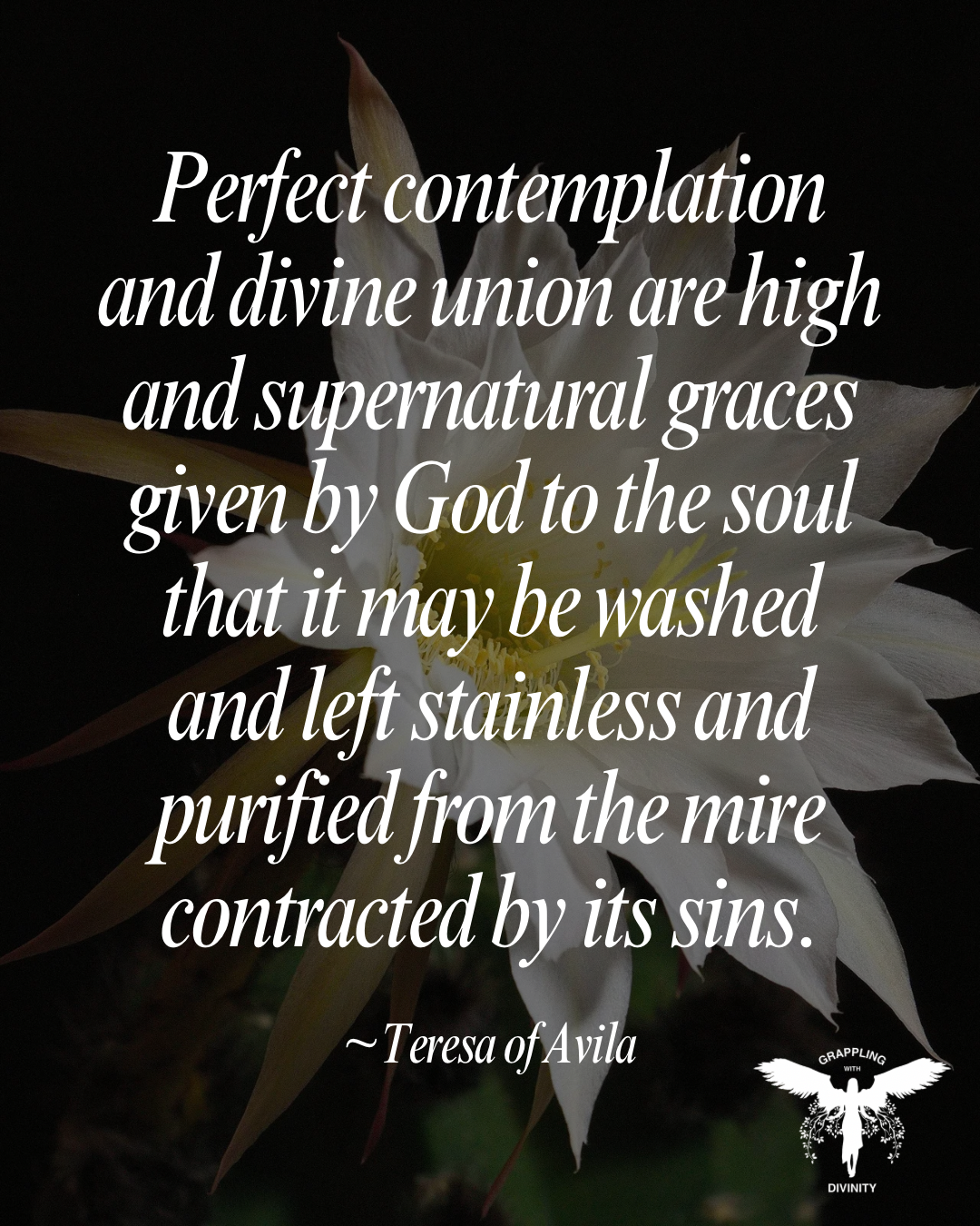 Lectio Divina: Washed And Left Stainless