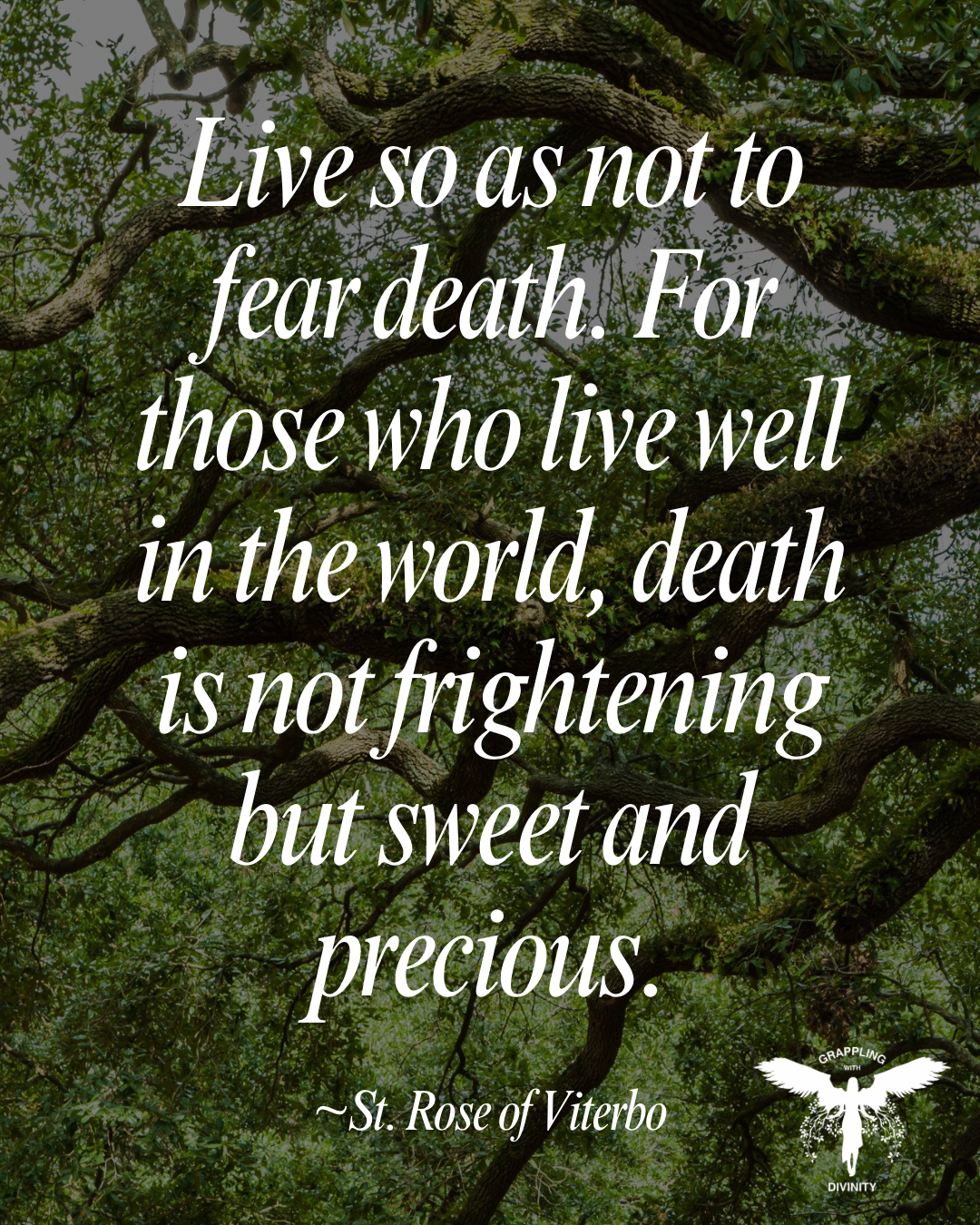 Lectio Divina: Live Well In The World