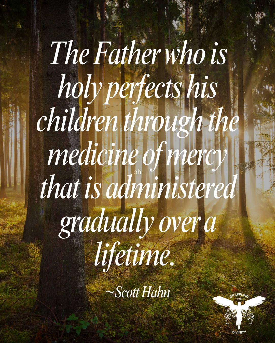 Lectio Divina: The Medicine Of Mercy