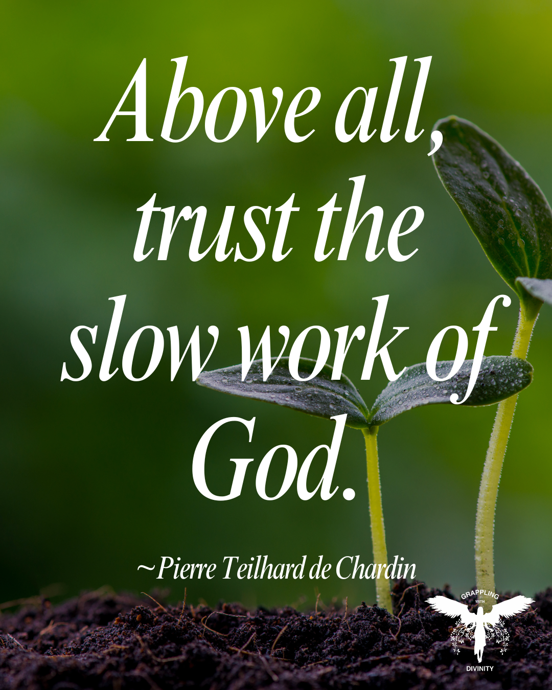 Lectio Divina: Slow Work Of God