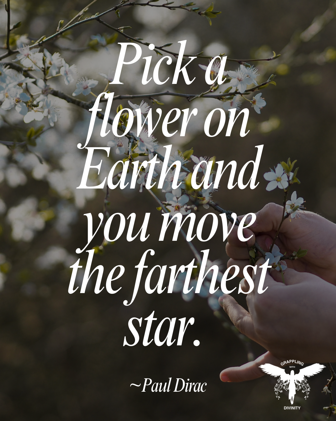 Lectio Divina: Moving Stars