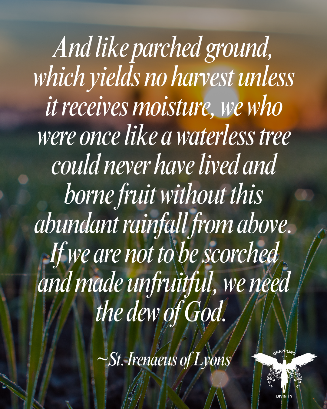 Lectio Divina: The Dew Of God