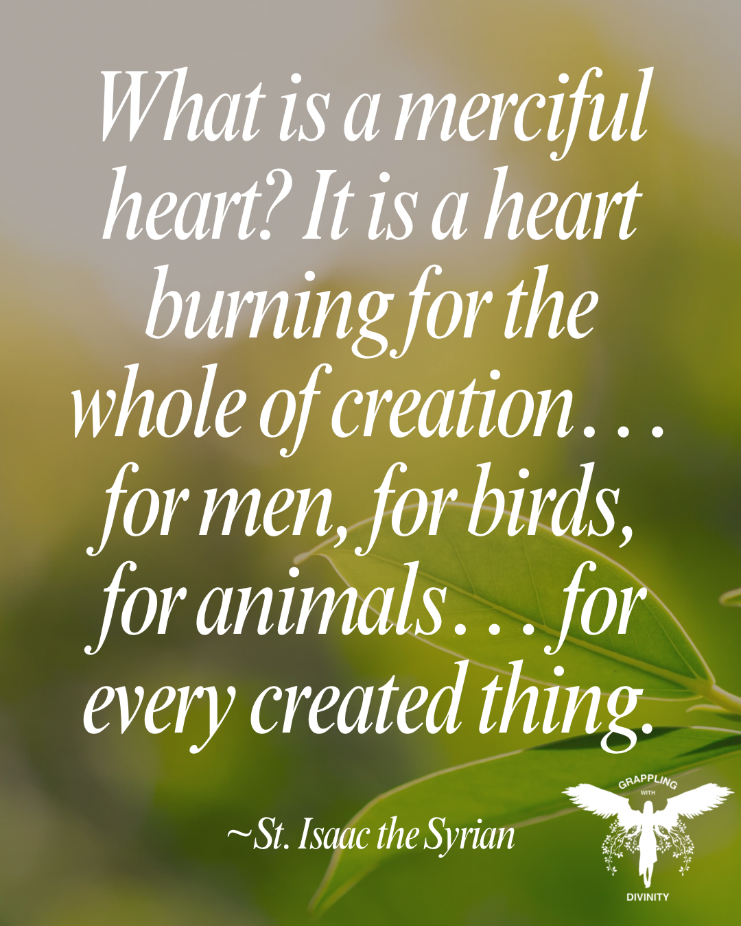 Recollected Wholeness: A Merciful Heart Sees Wholeness in Every Fragmented Soul (Lectio Divina)