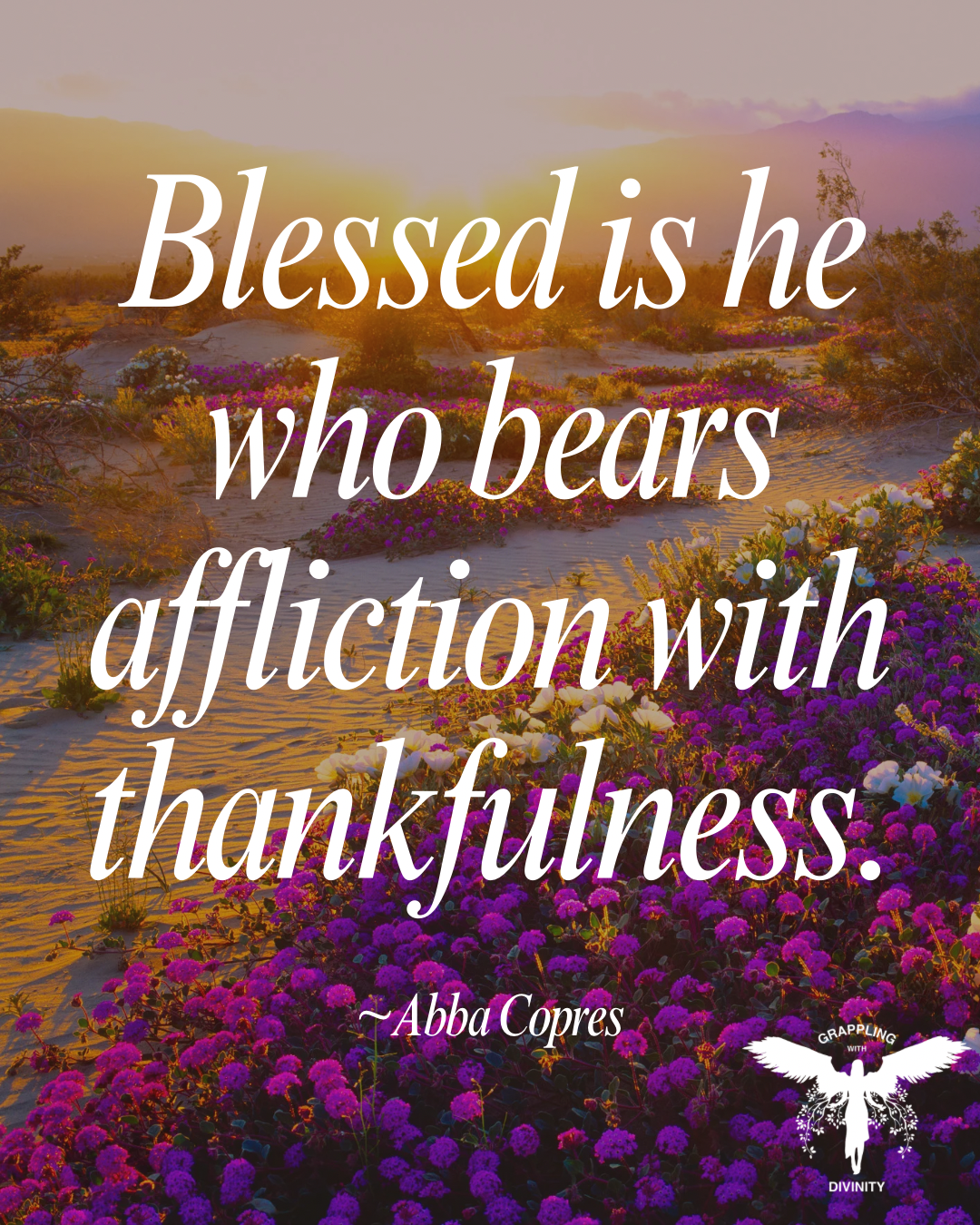 Blessed Are the Afflicted: Bearing Suffering With Thankfulness (Lectio Divina)