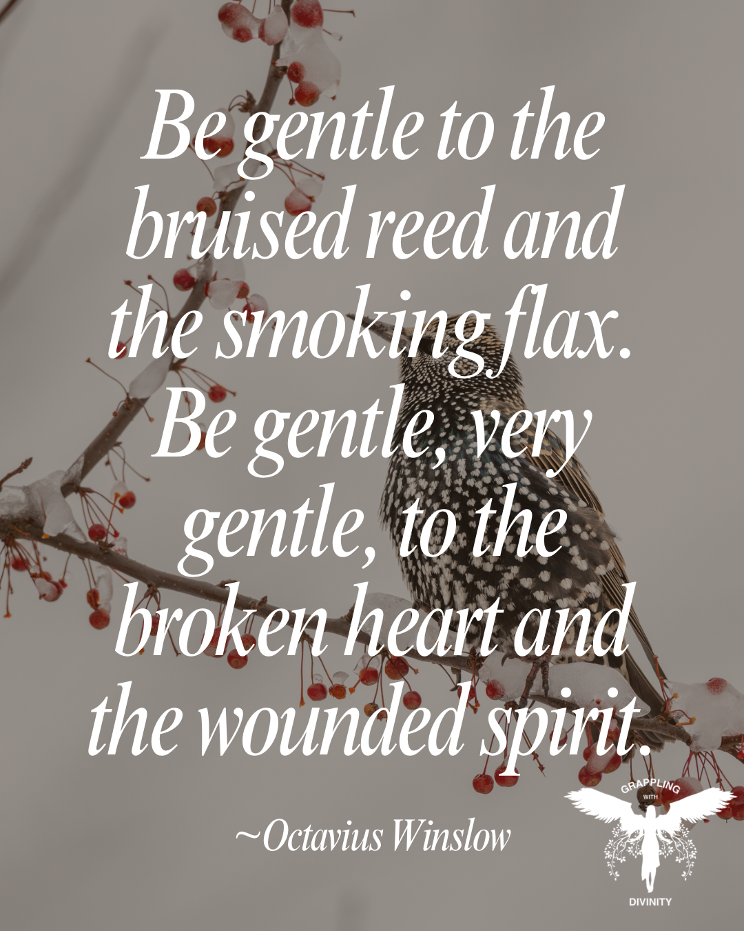 Softened Hearts Through Suffering and Grace (Lectio Divina)