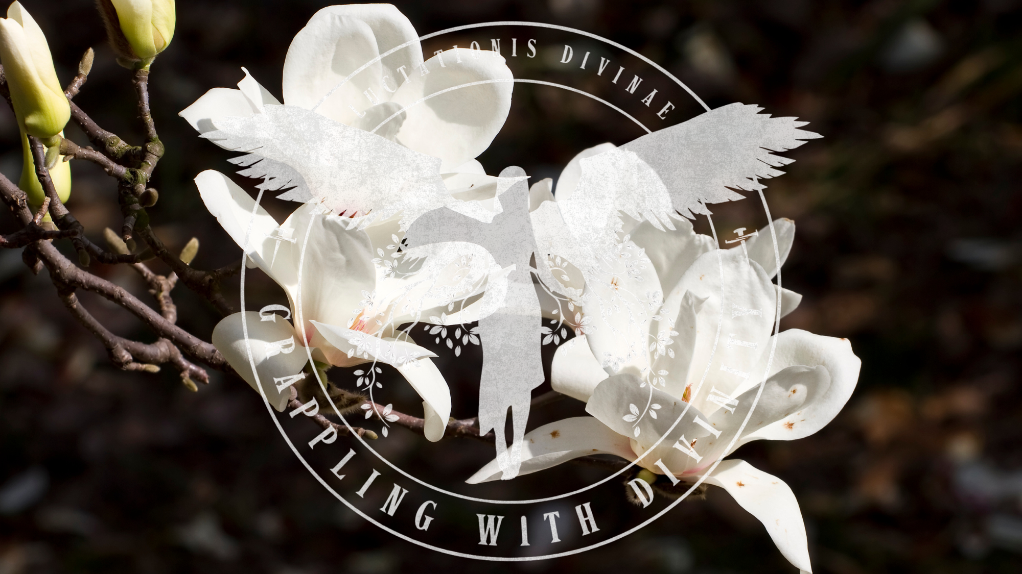 An Excess of Presence: On Spiritual Darkness and the Gift of God’s Grace (Lectio Divina)