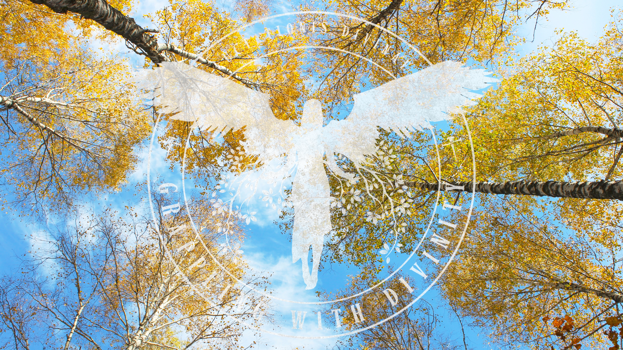 More Than Many Sparrows: Ambrose of Milan and the God Who Knows Every Heart (Lectio Divina)