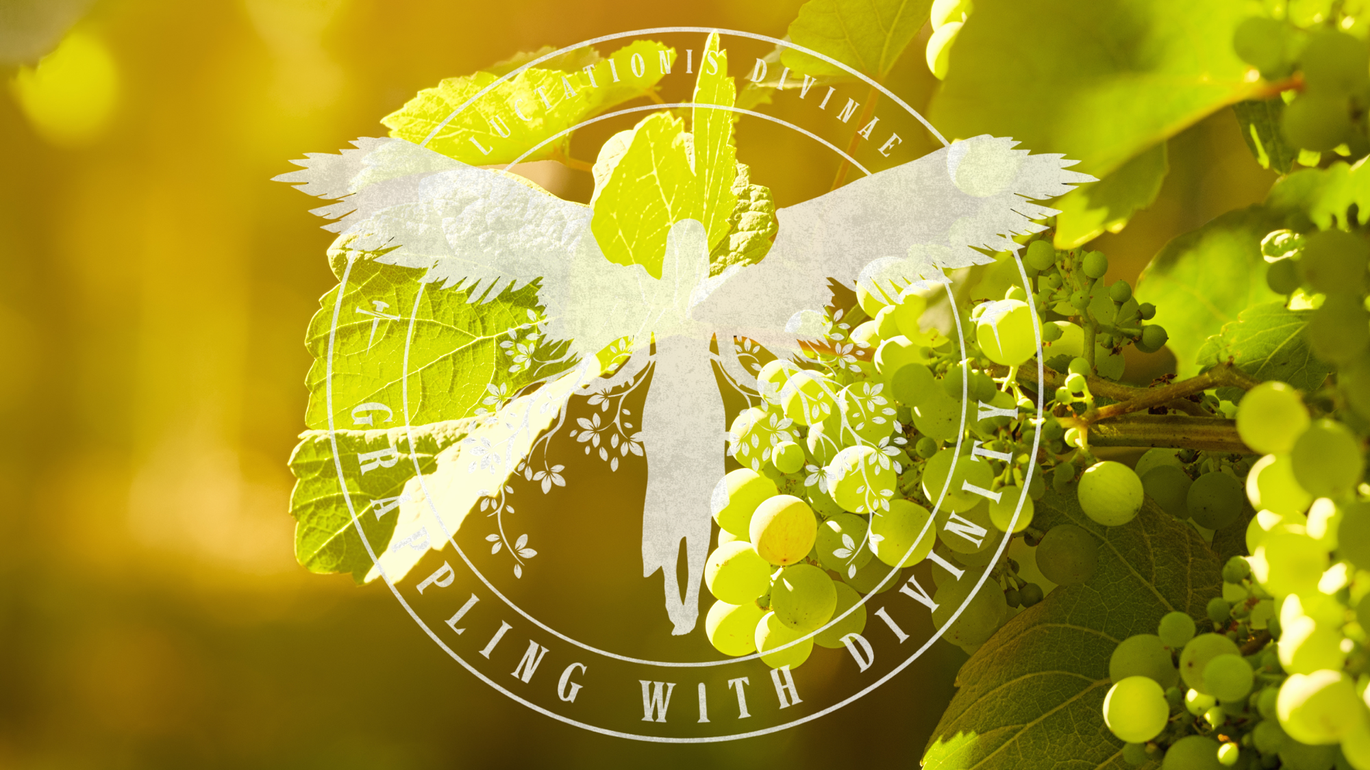 The Vineyard and the Vinegrower: Rabanus Maurus and the Gift We Mistake for Our Own (Lectio Divina)